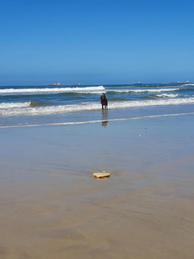 House Haven Guesthouse Port Elizabeth Kültér fotó